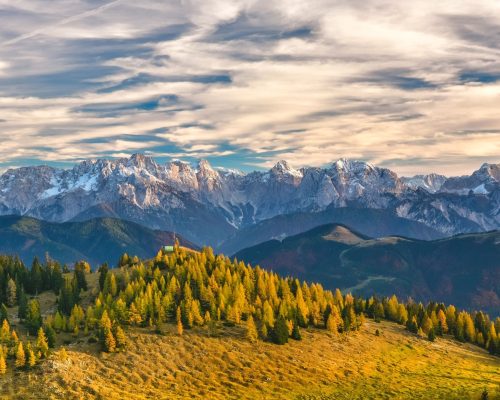 FOTO MINDFULNESS EXPERIENCE